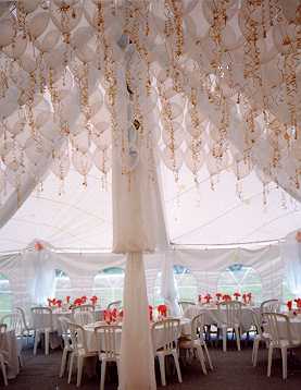 PHOTO:  Steve Thurston  "...tent with balloon canopy..."