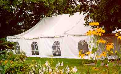 PHOTO:  Balloon arch  "...wedding tent ..."
