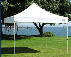 caravan e-z up pop up
              canopy